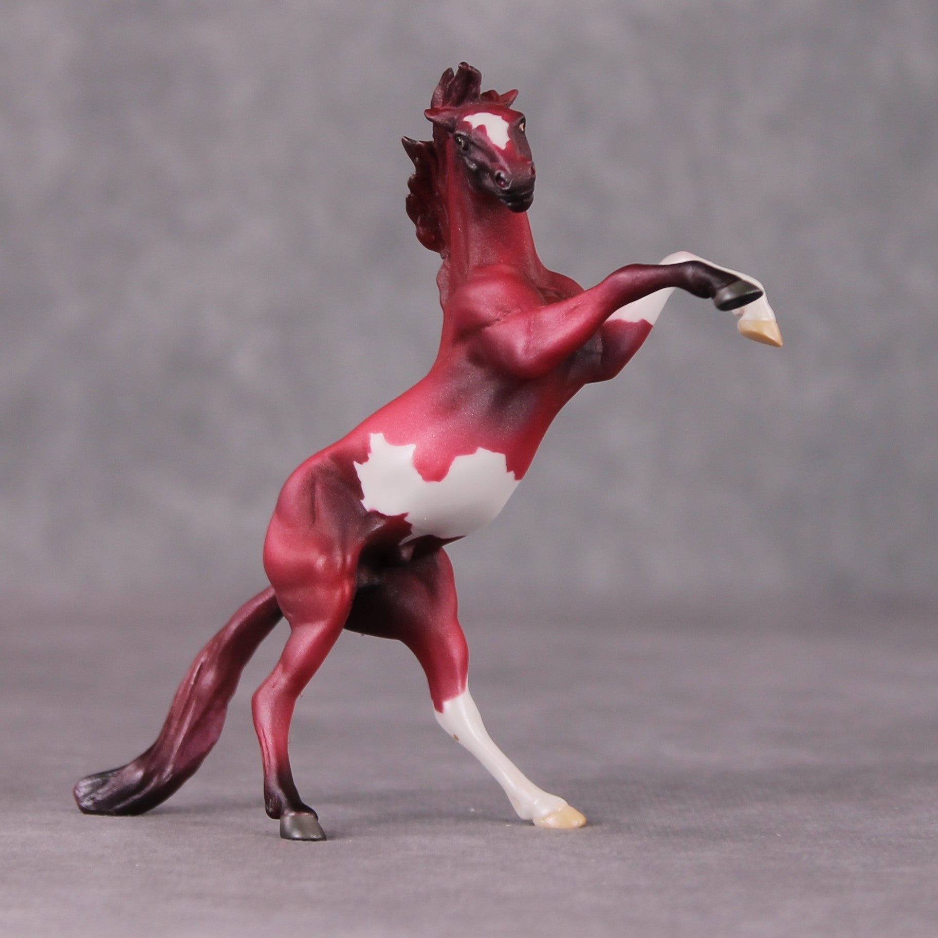 Cranberry OOAK Shaded Red Pinto Deco Rearing Chip by Jamie Adamson HS24