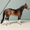 Ponder OOAK Dappled Bay Ideal Stock Horse By Dawn Quick EQ24