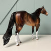 Ponder OOAK Dappled Bay Ideal Stock Horse By Dawn Quick EQ24