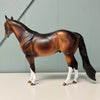 Ponder OOAK Dappled Bay Ideal Stock Horse By Dawn Quick EQ24