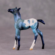 Turk OOAK Turquoise Appaloosa Deco Foal Chip by Jamie Adamson HS24