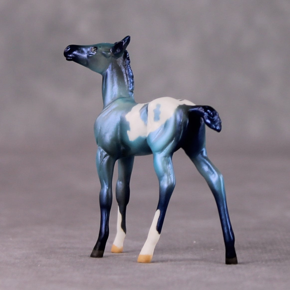 Turk OOAK Turquoise Appaloosa Deco Foal Chip by Jamie Adamson HS24