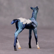 Turk OOAK Turquoise Appaloosa Deco Foal Chip by Jamie Adamson HS24