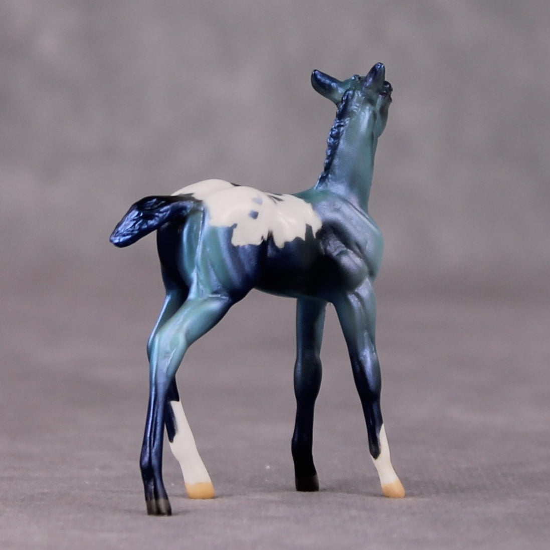 Turk OOAK Turquoise Appaloosa Deco Foal Chip by Jamie Adamson HS24