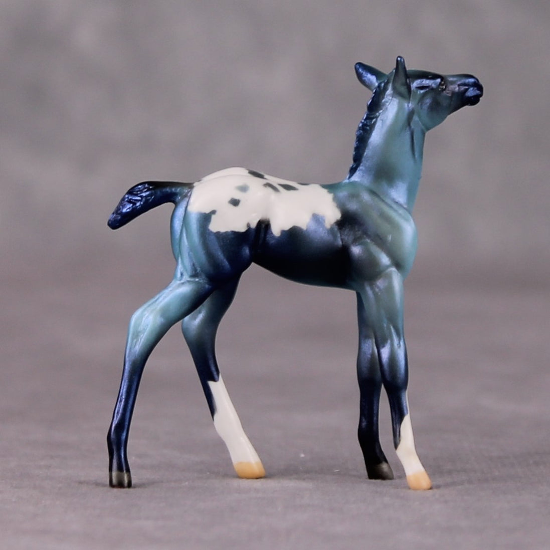 Turk OOAK Turquoise Appaloosa Deco Foal Chip by Jamie Adamson HS24