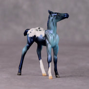 Turk OOAK Turquoise Appaloosa Deco Foal Chip by Jamie Adamson HS24
