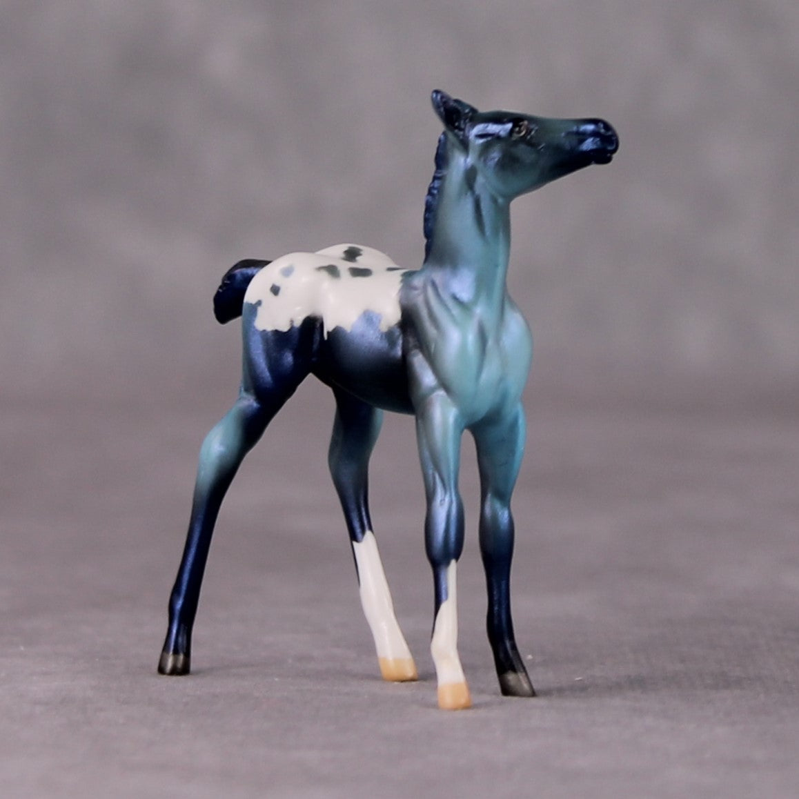 Turk OOAK Turquoise Appaloosa Deco Foal Chip by Jamie Adamson HS24