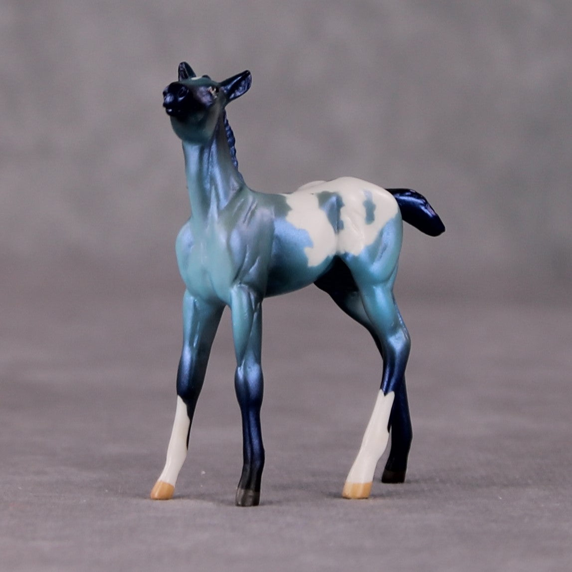 Turk OOAK Turquoise Appaloosa Deco Foal Chip by Jamie Adamson HS24