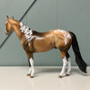 Flaneur OOAK Dappled Sooty Buckskin Tobiano Ideal Stock Horse By Dawn Quick EQ24