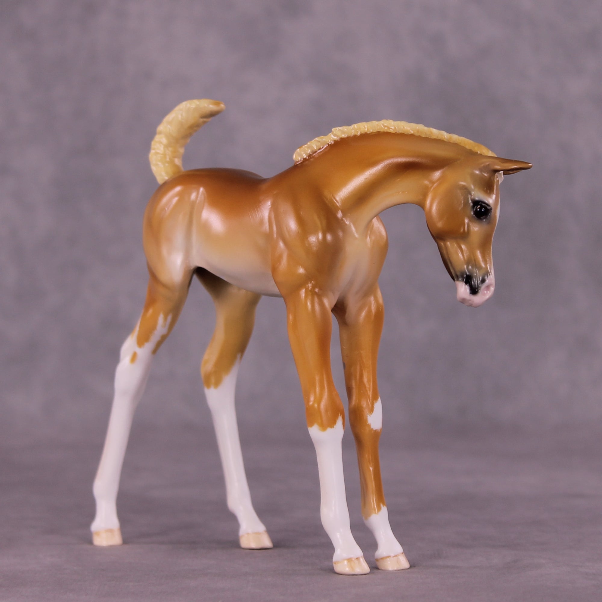 Sarah OOAK EFCM Arabian Foal by Tiffany Purdy GS925