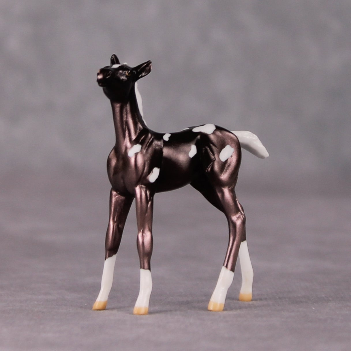 Tot OOAK Metallic Deco Foal Chip by Jamie Adamson HS24