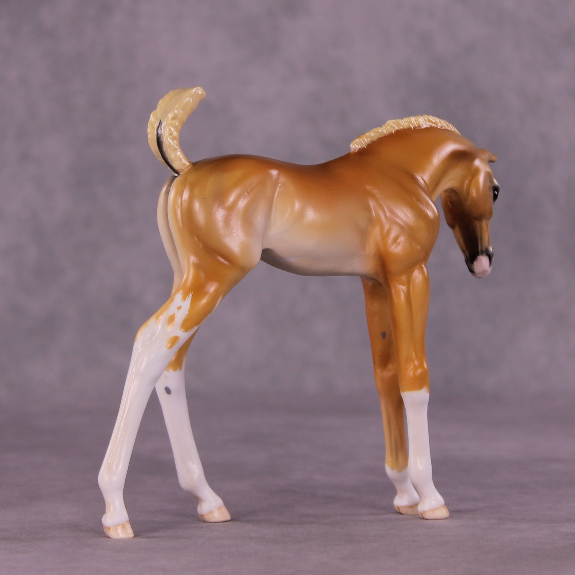 Sarah OOAK EFCM Arabian Foal by Tiffany Purdy GS925
