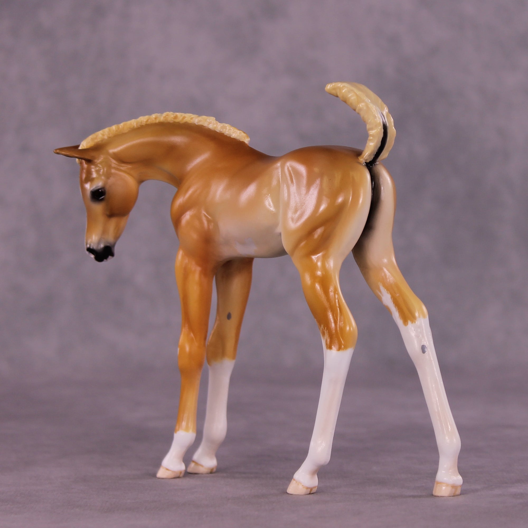 Sarah OOAK EFCM Arabian Foal by Tiffany Purdy GS925