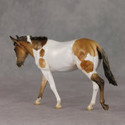 Pot Pie OOAK FCM Pebble Mule by Stephanie Blaylock & The Stone Horses Team GS26