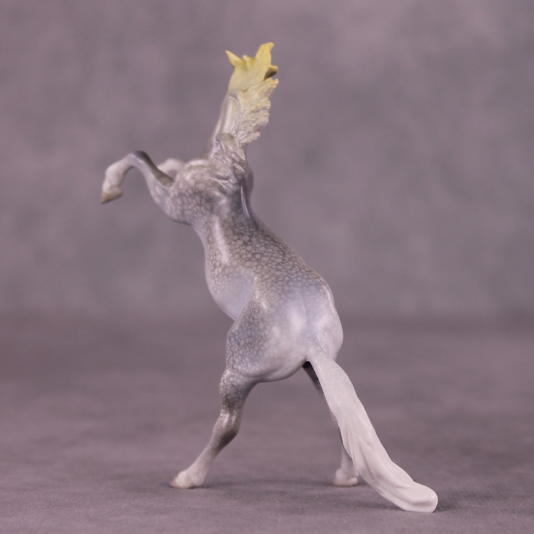 "Djarliny" OOAK Rearing Chip by Jess Hamill MS25