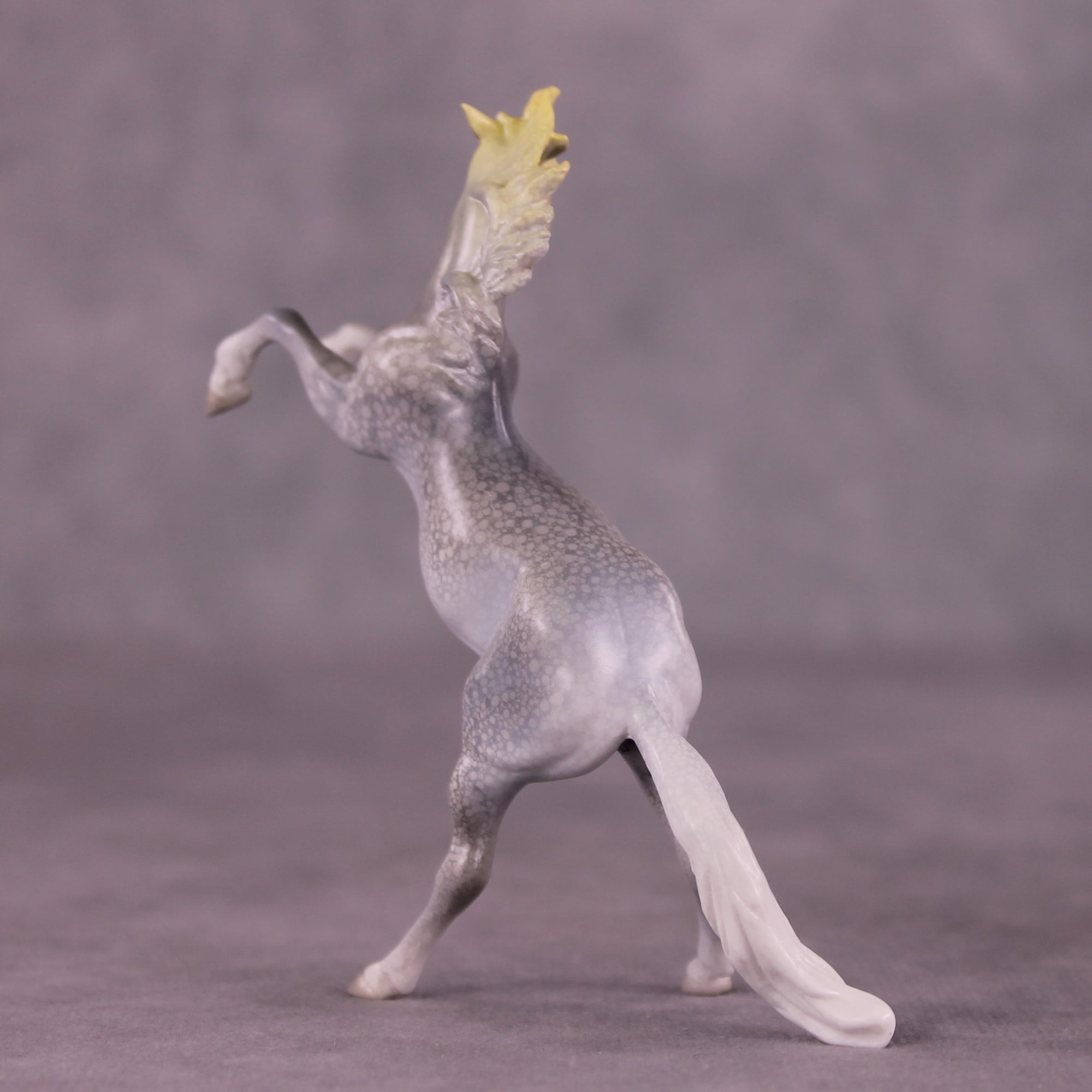 "Djarliny" OOAK Rearing Chip by Jess Hamill MS25