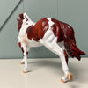 Accelerated Perspective OOAK Dappled Chestnut Tobiano Remington By Dawn Quick EQ24