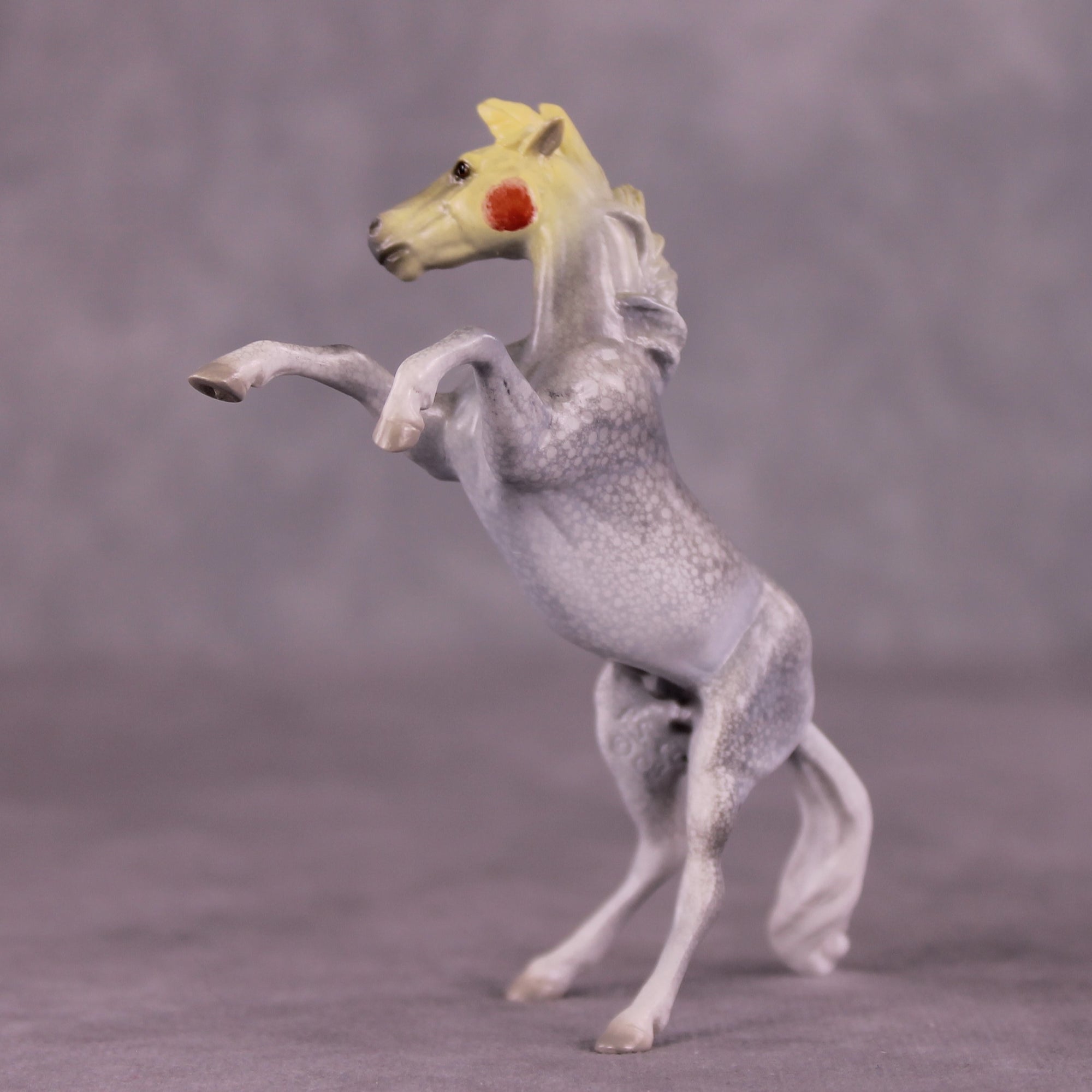 "Djarliny" OOAK Rearing Chip by Jess Hamill MS25