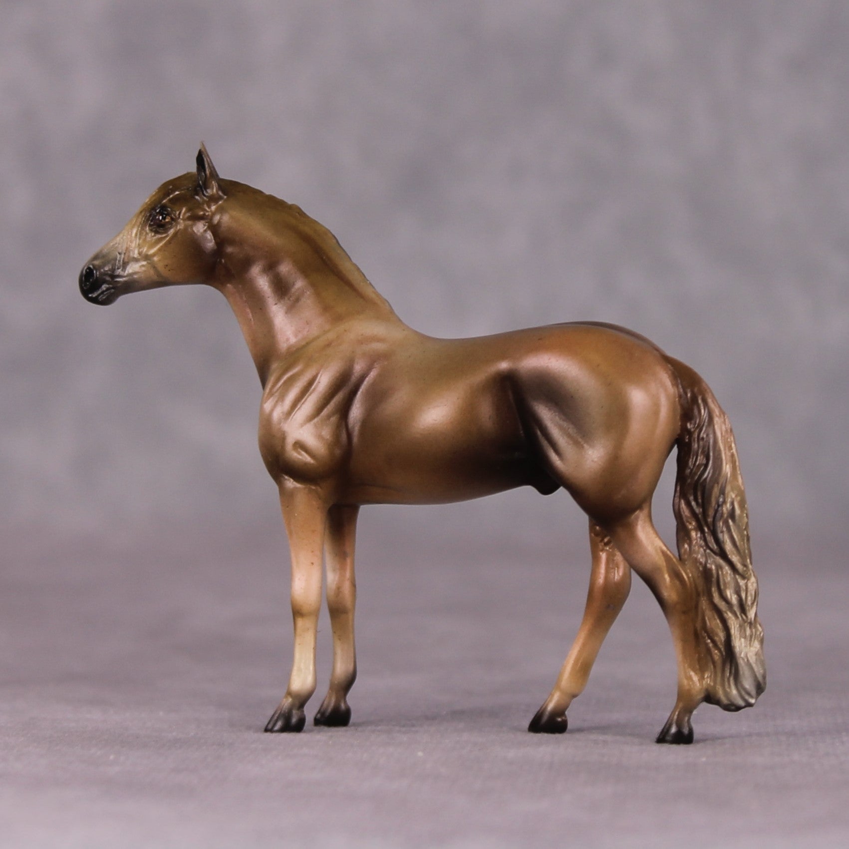 "Angus" OOAK Andalusian Chip By Kike Duarte SHCF25OS