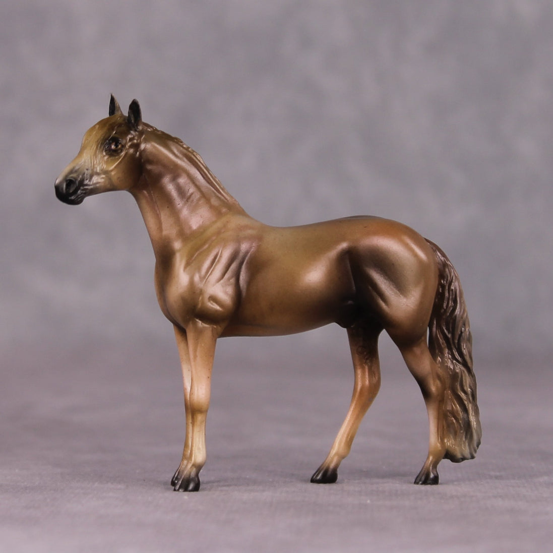 "Angus" OOAK Andalusian Chip By Kike Duarte SHCF25OS