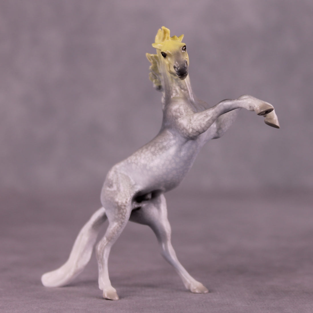 "Djarliny" OOAK Rearing Chip by Jess Hamill MS25