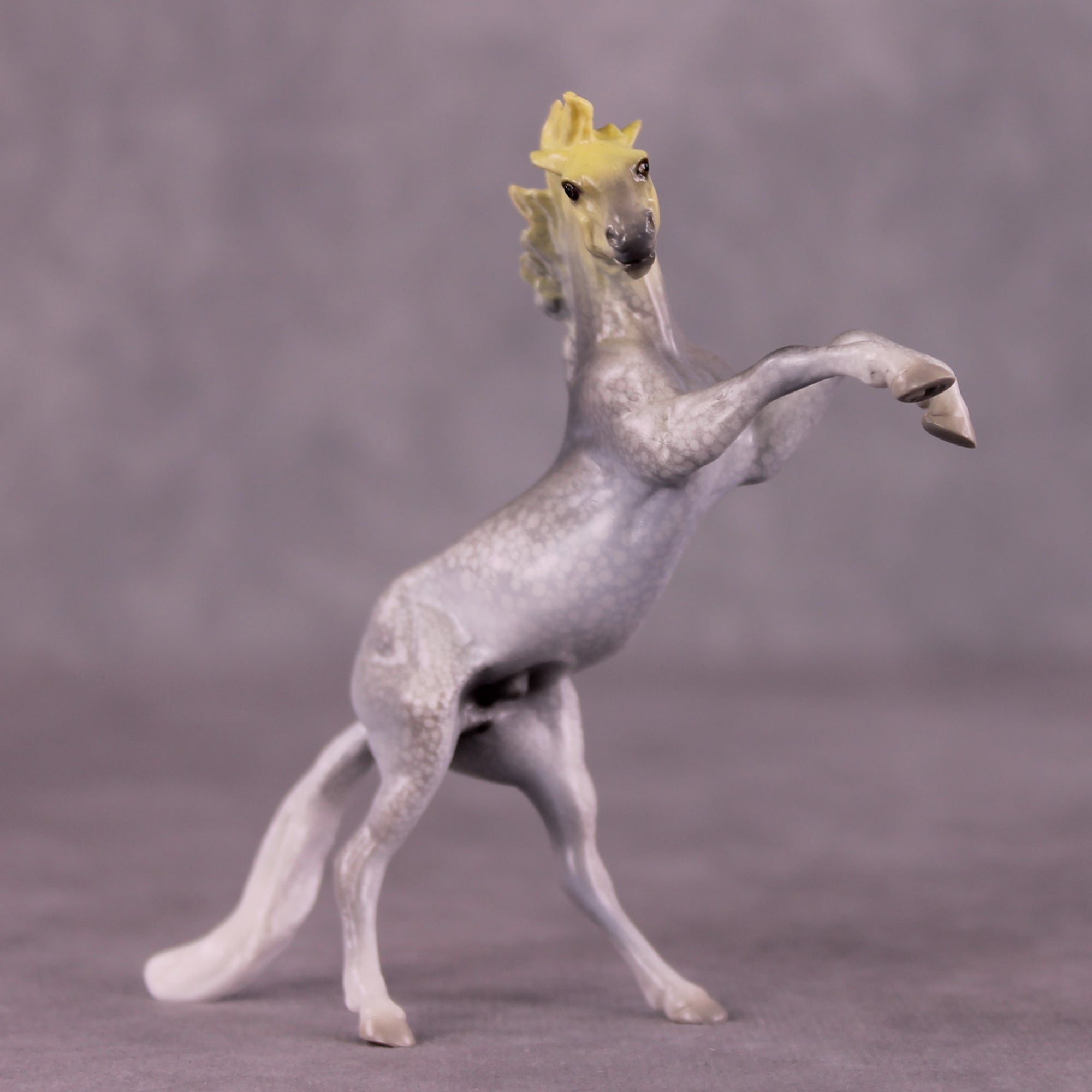 "Djarliny" OOAK Rearing Chip by Jess Hamill MS25