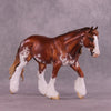 Gilamou OOAK FCM Irish Cob by Jess Hamill Best Offer 10/21/25