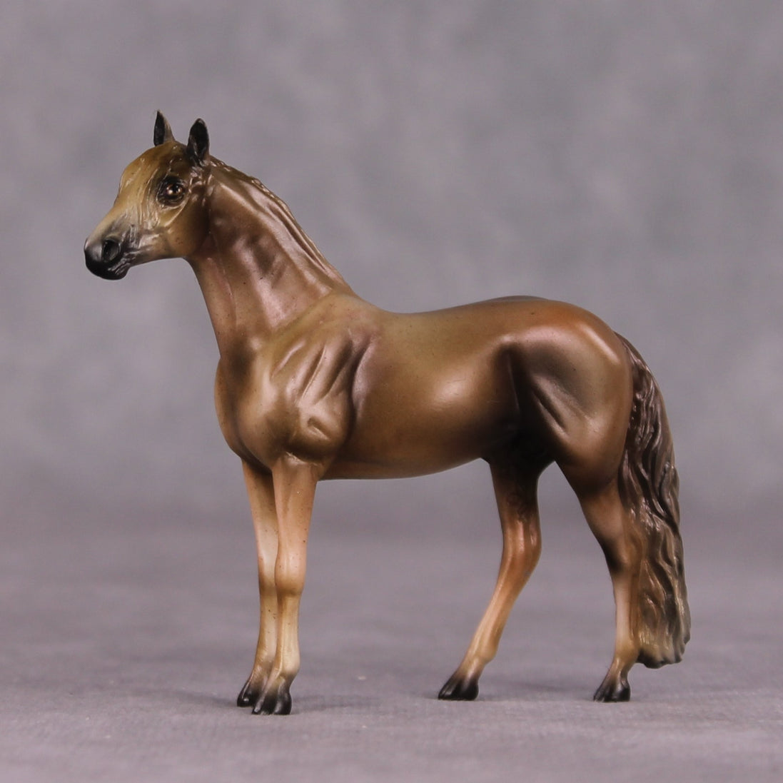 "Angus" OOAK Andalusian Chip By Kike Duarte SHCF25OS