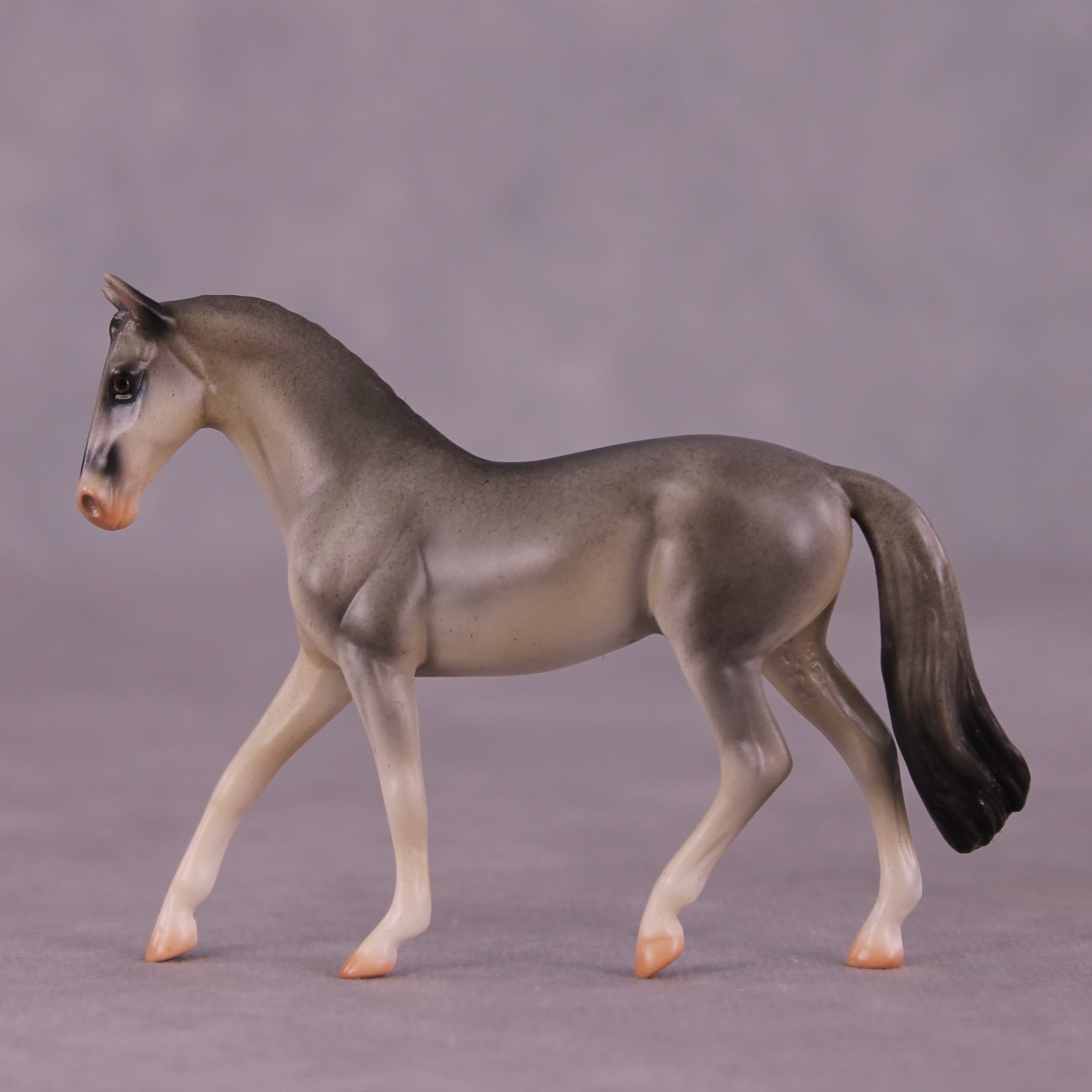 "Gulgong" OOAK Warmblood Chip by Jess Hamill MS25