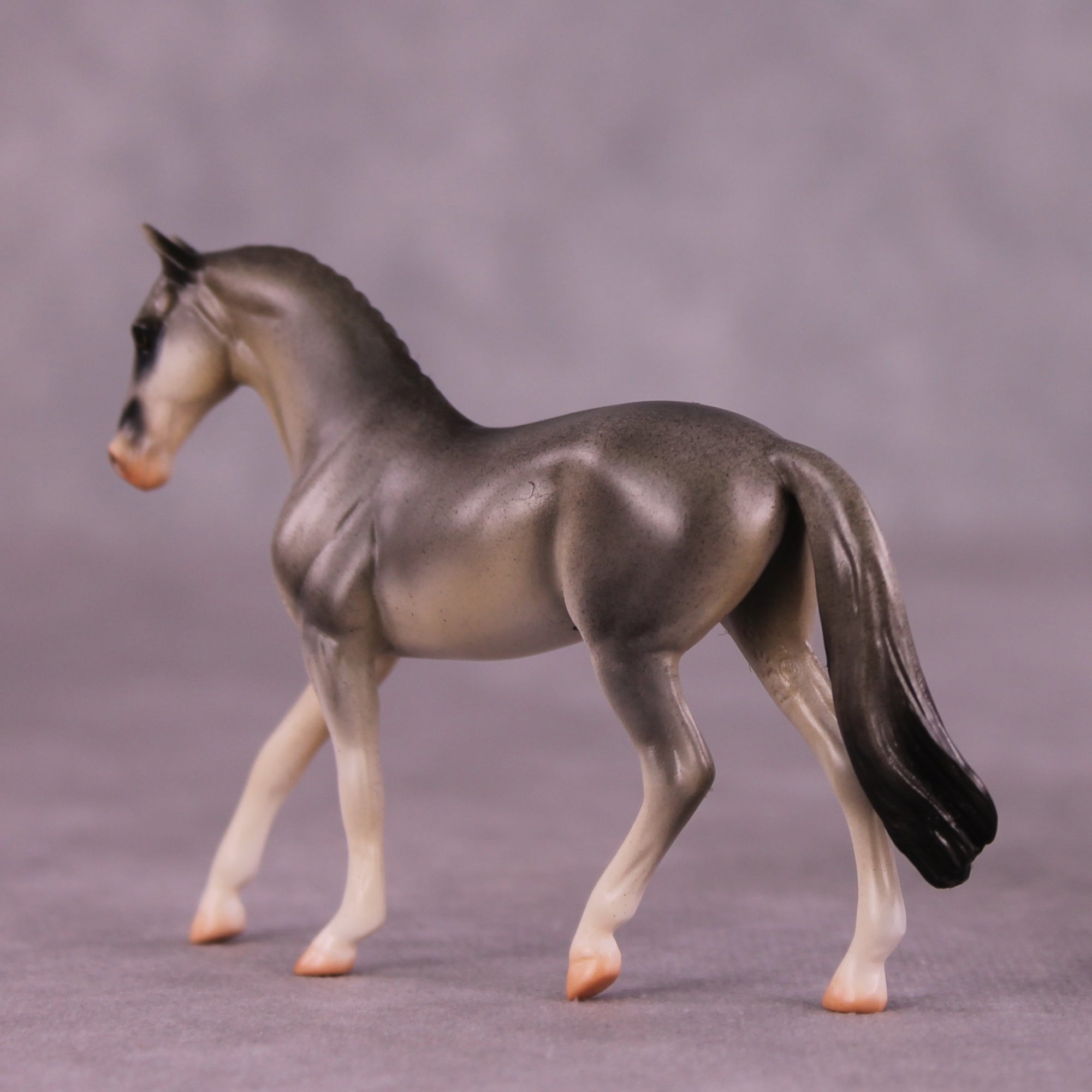 "Gulgong" OOAK Warmblood Chip by Jess Hamill MS25