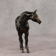 La Belle ER OOAK FCM Pebble Arabian Mare by Tegan Davis & Melanie Miller GS26