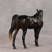 La Belle ER OOAK FCM Pebble Arabian Mare by Tegan Davis & Melanie Miller GS26