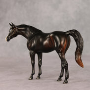 La Belle ER OOAK FCM Pebble Arabian Mare by Tegan Davis & Melanie Miller GS26
