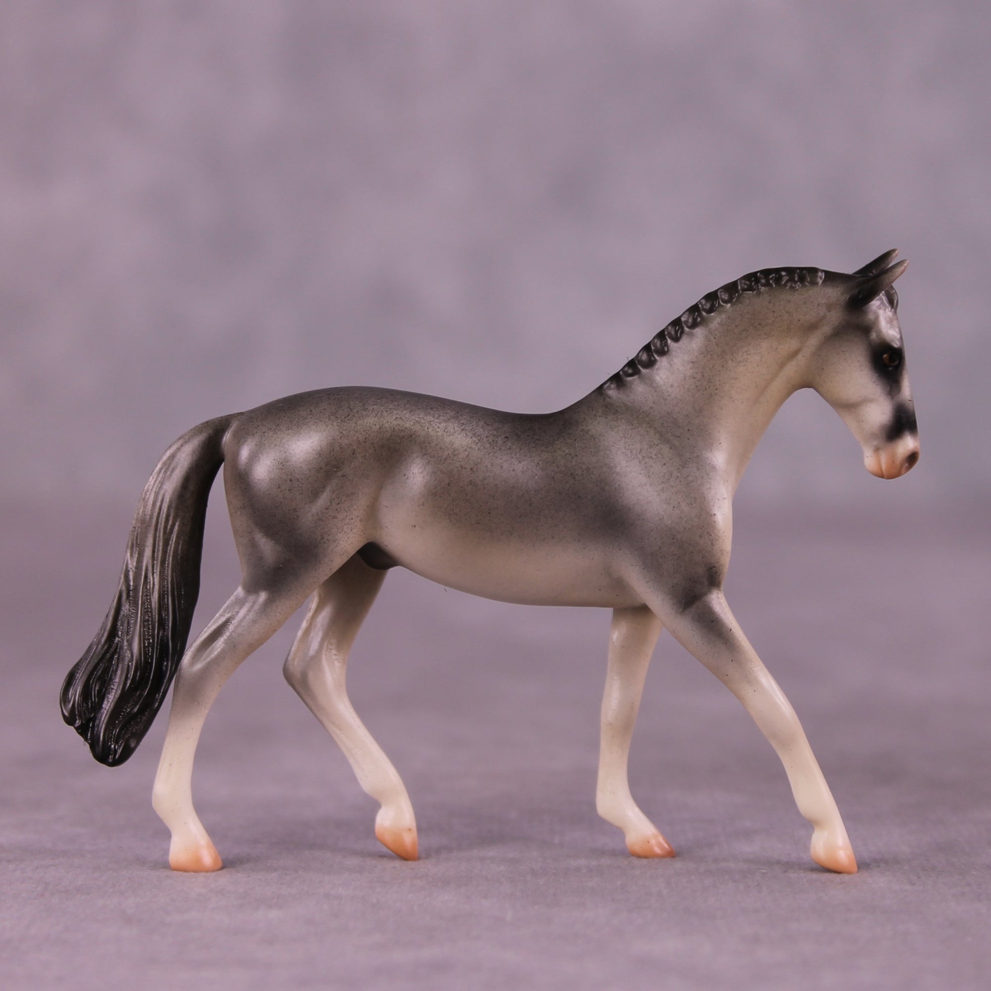 "Gulgong" OOAK Warmblood Chip by Jess Hamill MS25