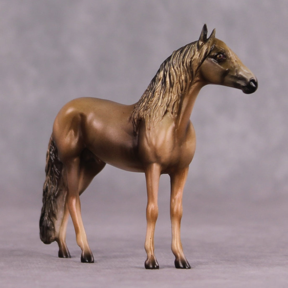 "Angus" OOAK Andalusian Chip By Kike Duarte SHCF25OS