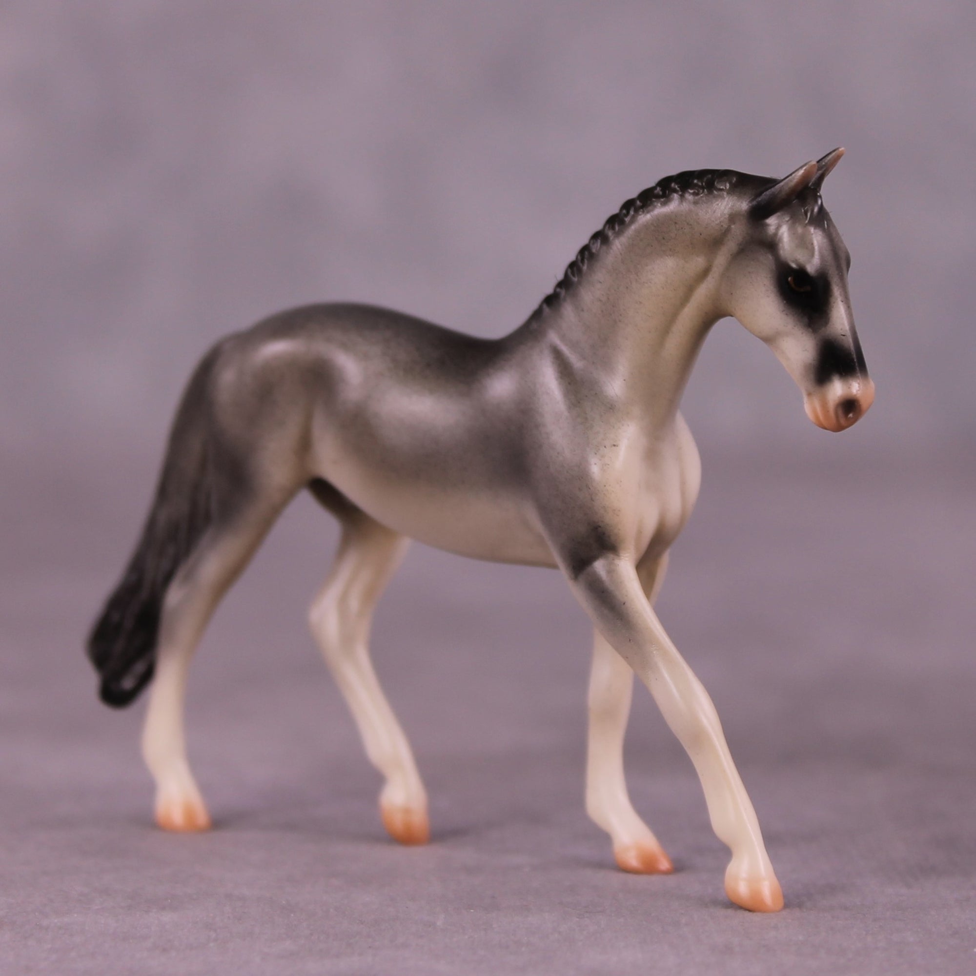 "Gulgong" OOAK Warmblood Chip by Jess Hamill MS25