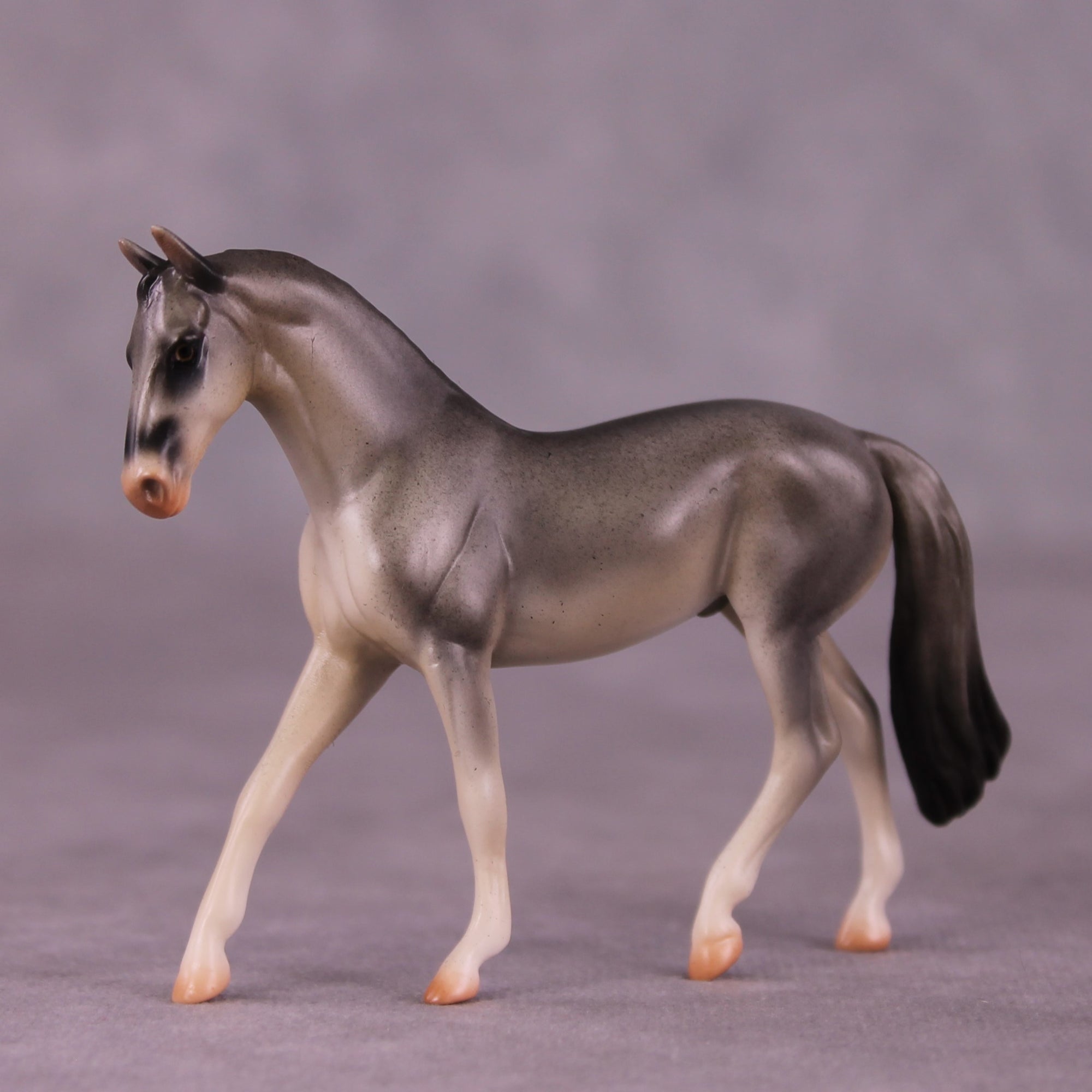 "Gulgong" OOAK Warmblood Chip by Jess Hamill MS25