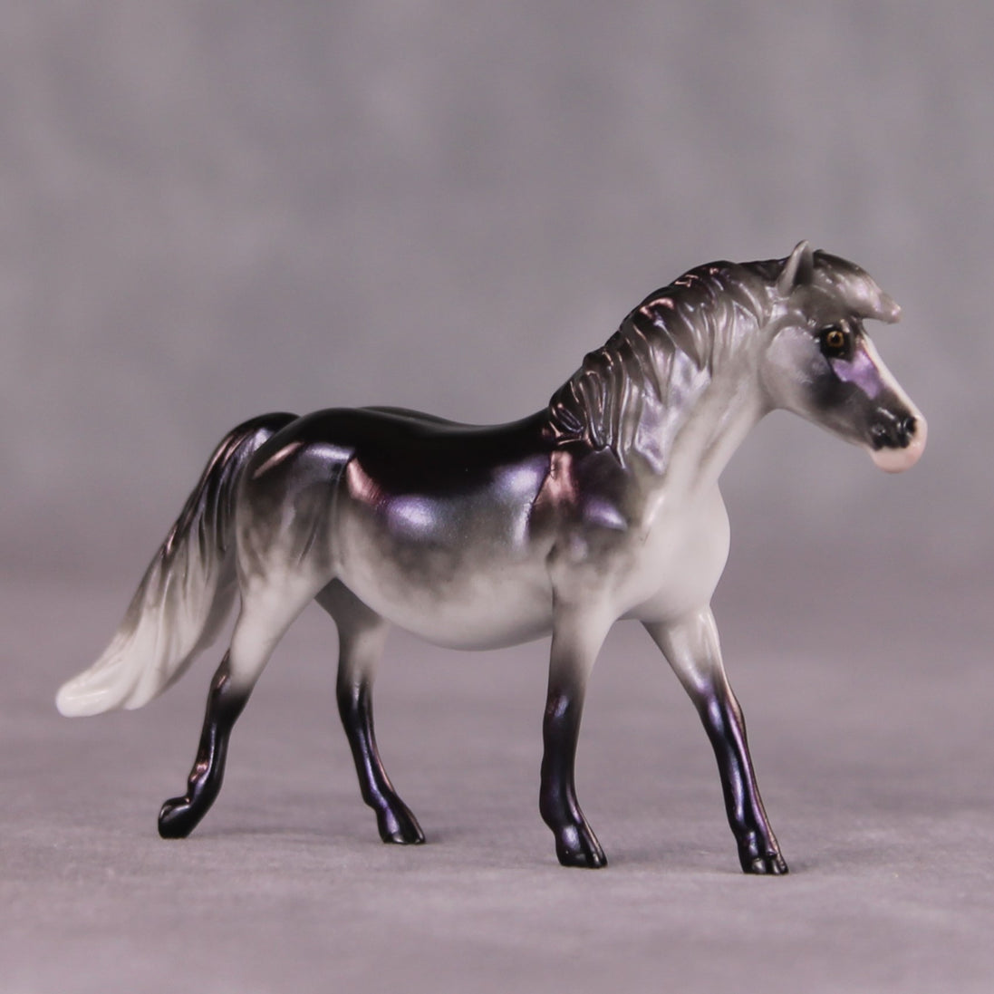 "Moxie" OOAK Pony Chip By Ellen Robbins SHCF25