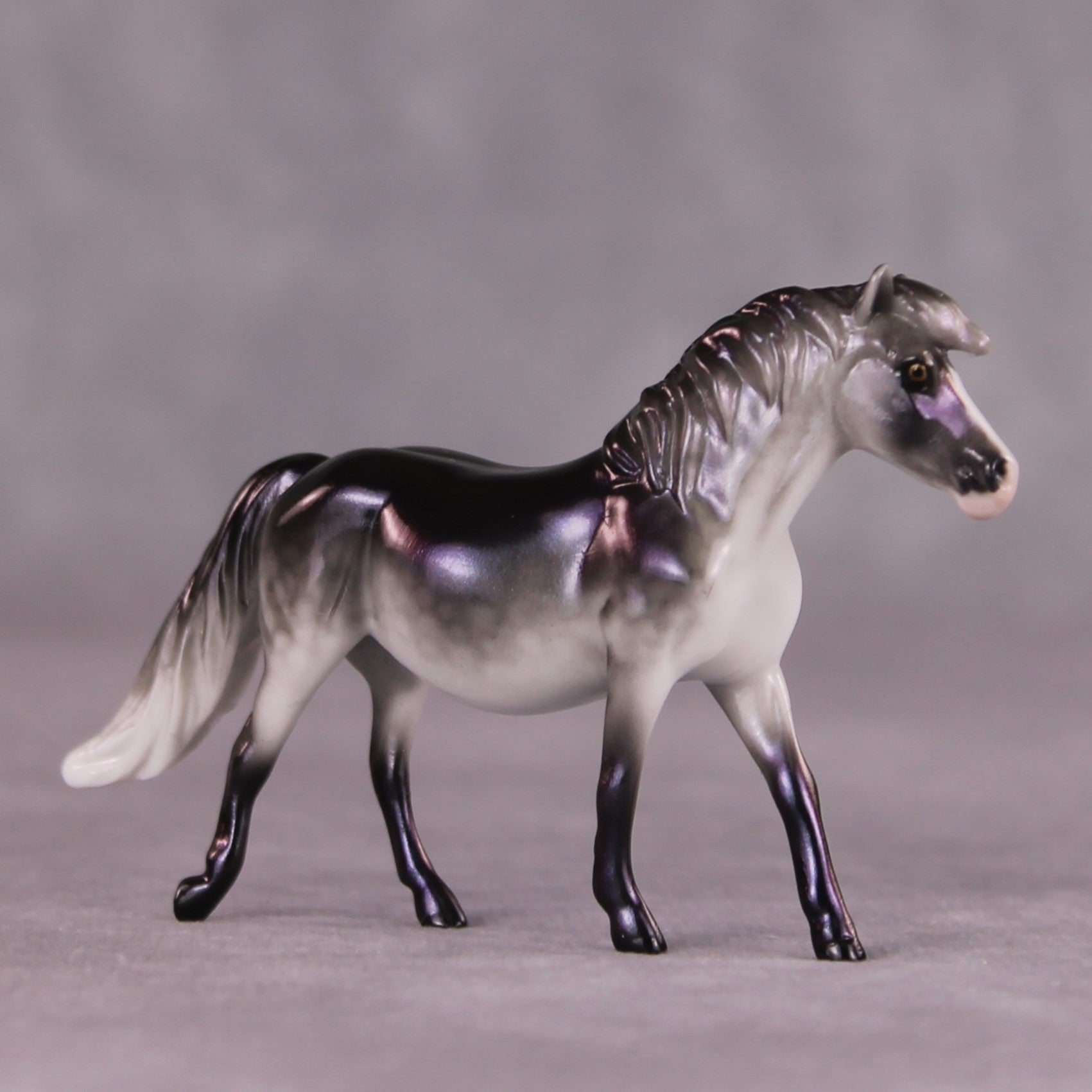 "Moxie" OOAK Pony Chip By Ellen Robbins SHCF25