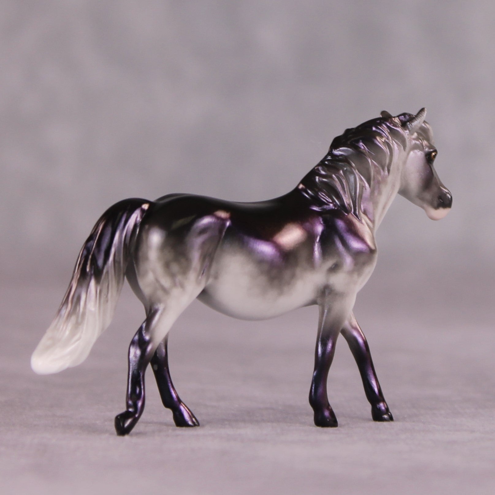"Moxie" OOAK Pony Chip By Ellen Robbins SHCF25