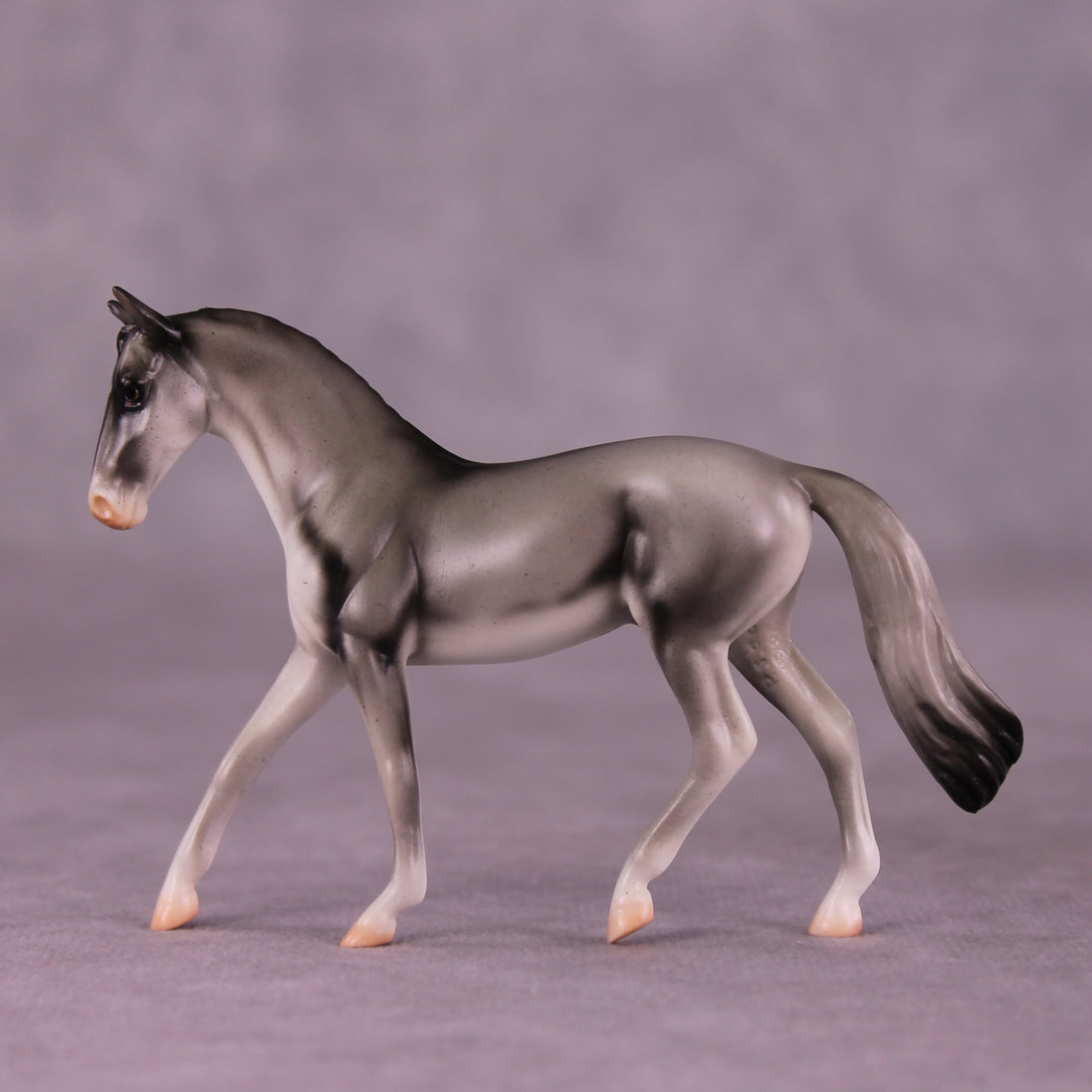 "Coonawarra" OOAK Warmblood Chip by Jess Hamill MS25