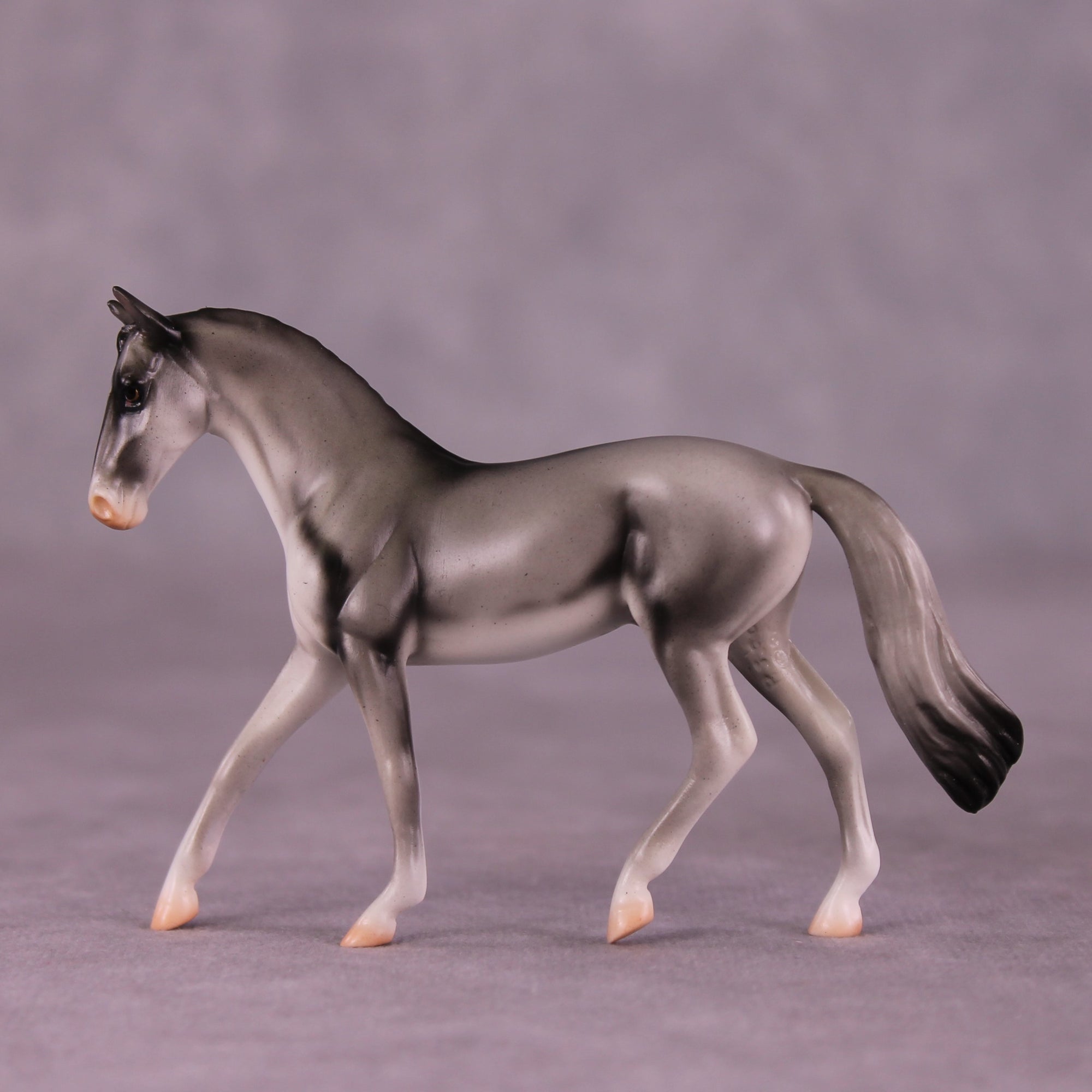 "Coonawarra" OOAK Warmblood Chip by Jess Hamill MS25