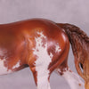 Gilamou OOAK FCM Irish Cob by Jess Hamill Best Offer 10/21/25