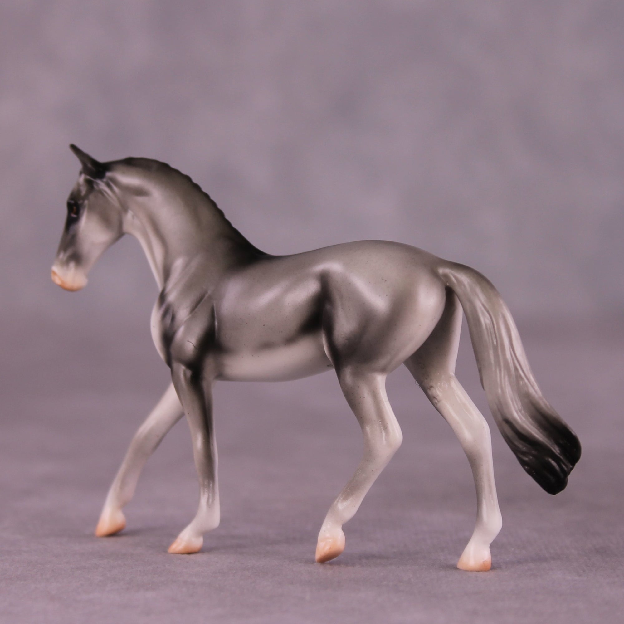 "Coonawarra" OOAK Warmblood Chip by Jess Hamill MS25