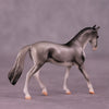 &quot;Coonawarra&quot; OOAK Warmblood Chip by Jess Hamill MS25
