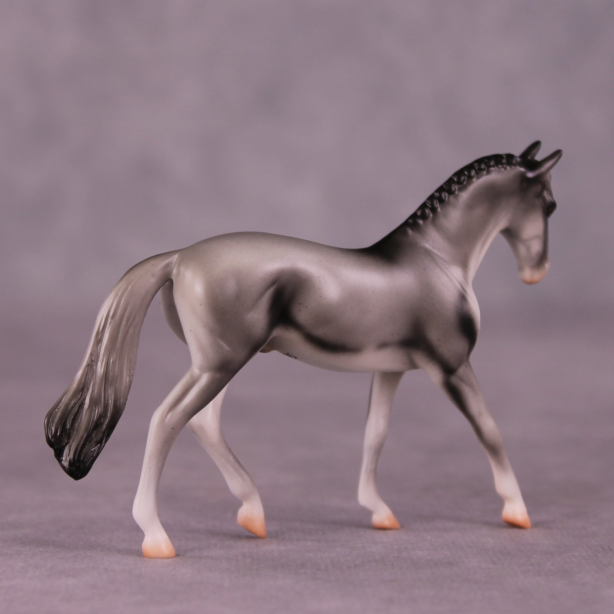"Coonawarra" OOAK Warmblood Chip by Jess Hamill MS25