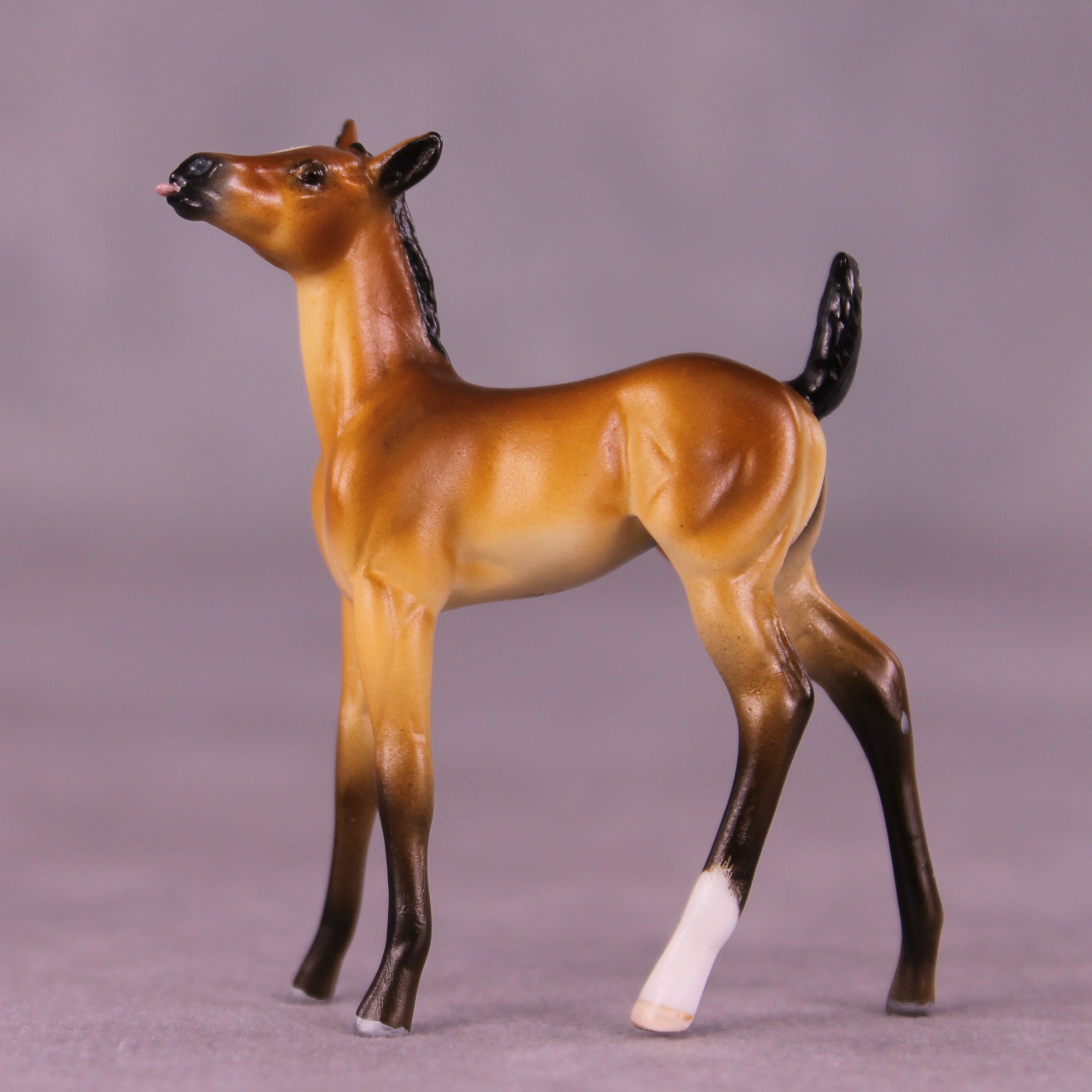 Sassafrass OOAK FCM Chip Foal by Tiffany Purdy GS925