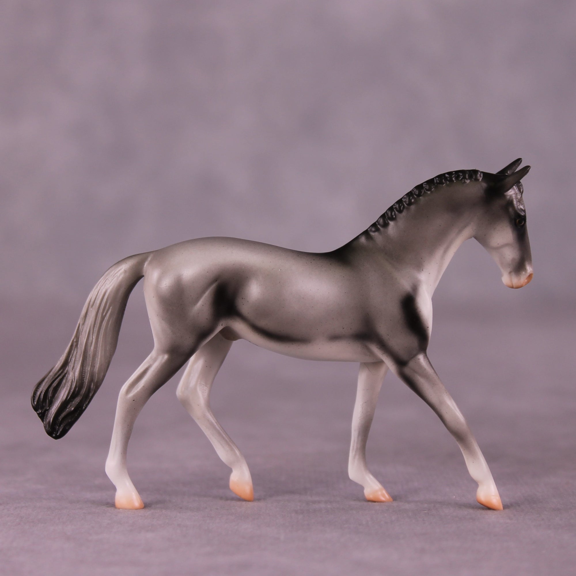 "Coonawarra" OOAK Warmblood Chip by Jess Hamill MS25