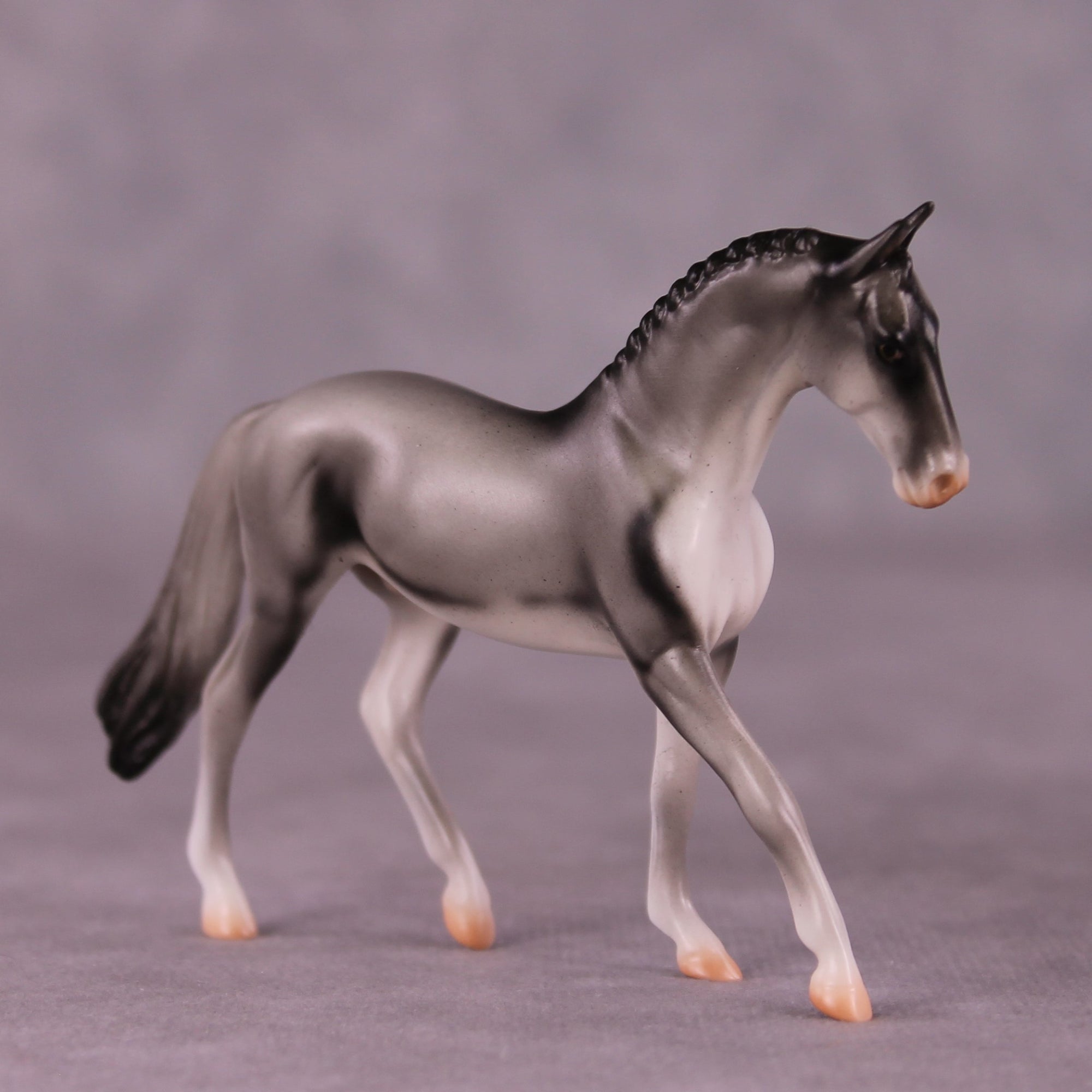 "Coonawarra" OOAK Warmblood Chip by Jess Hamill MS25