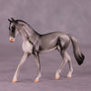 &quot;Coonawarra&quot; OOAK Warmblood Chip by Jess Hamill MS25